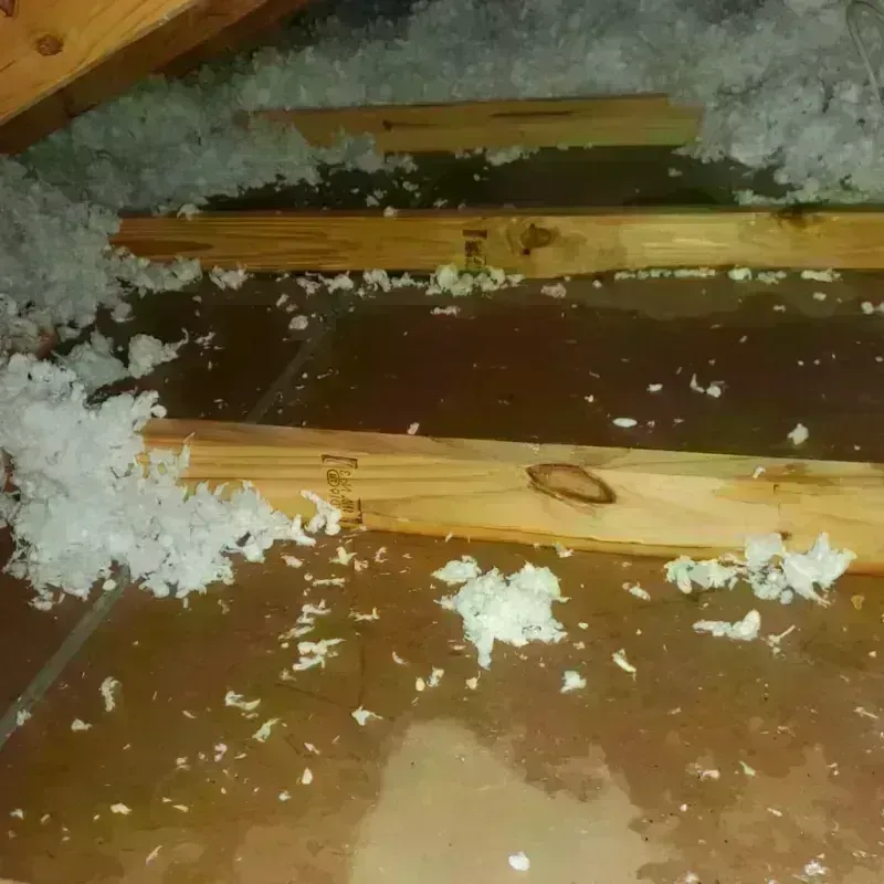 Attic Water Damage in Los Osos, CA