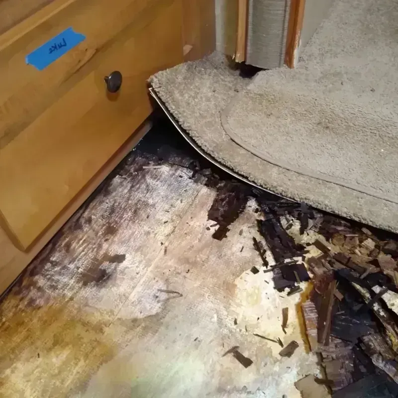 Best Wood Floor Water Damage Service in Los Osos, CA